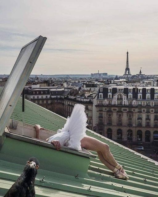 paris.jpg