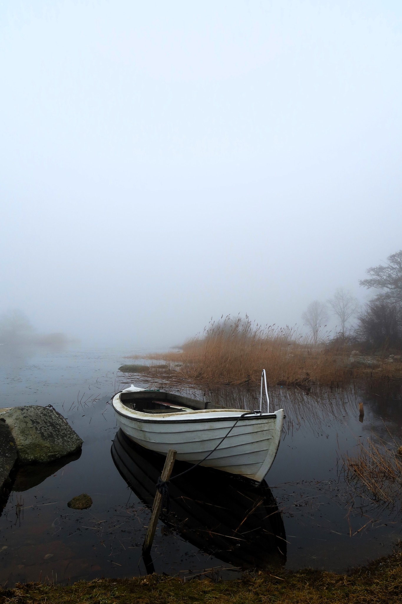 white_boat-ann-_marie_buchner.jpg