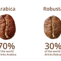 Miben különbözik a sima kávé és az eszpresszó?