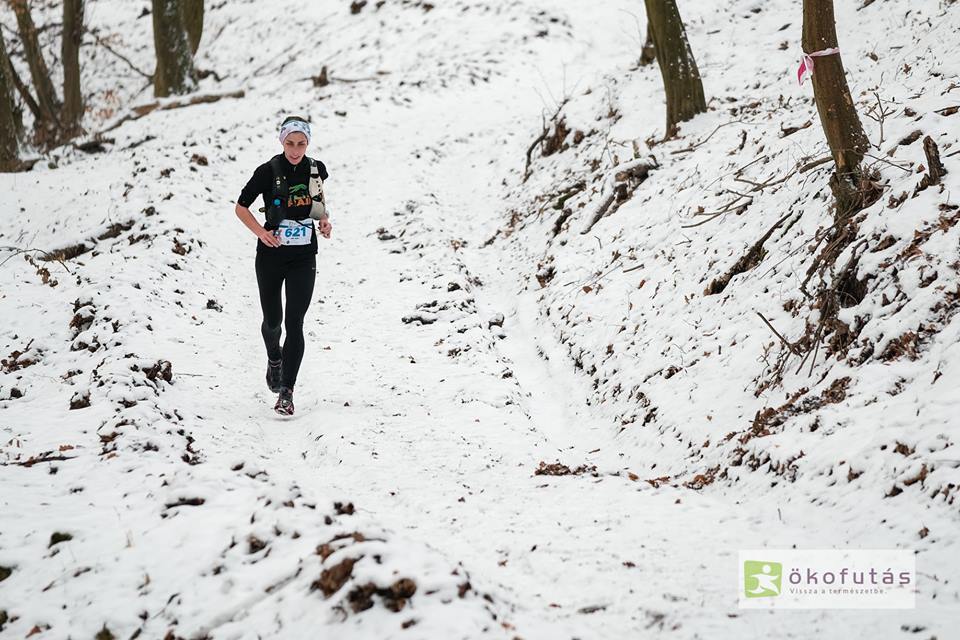 Mint hómacska a jégen - Téli Börzsöny Trail L