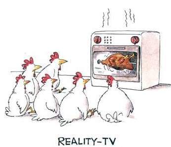 reality_tv_for_chickens-12075.jpg