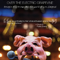 Greg Prato: PRIMUS Over the Electric Grapevine: Insight into Primus and the World of Les Claypool (Könyvnapló #183)