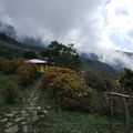 Szárazföldi Galapagos: Sierra Nevada de Santa Marta, Kolumbia