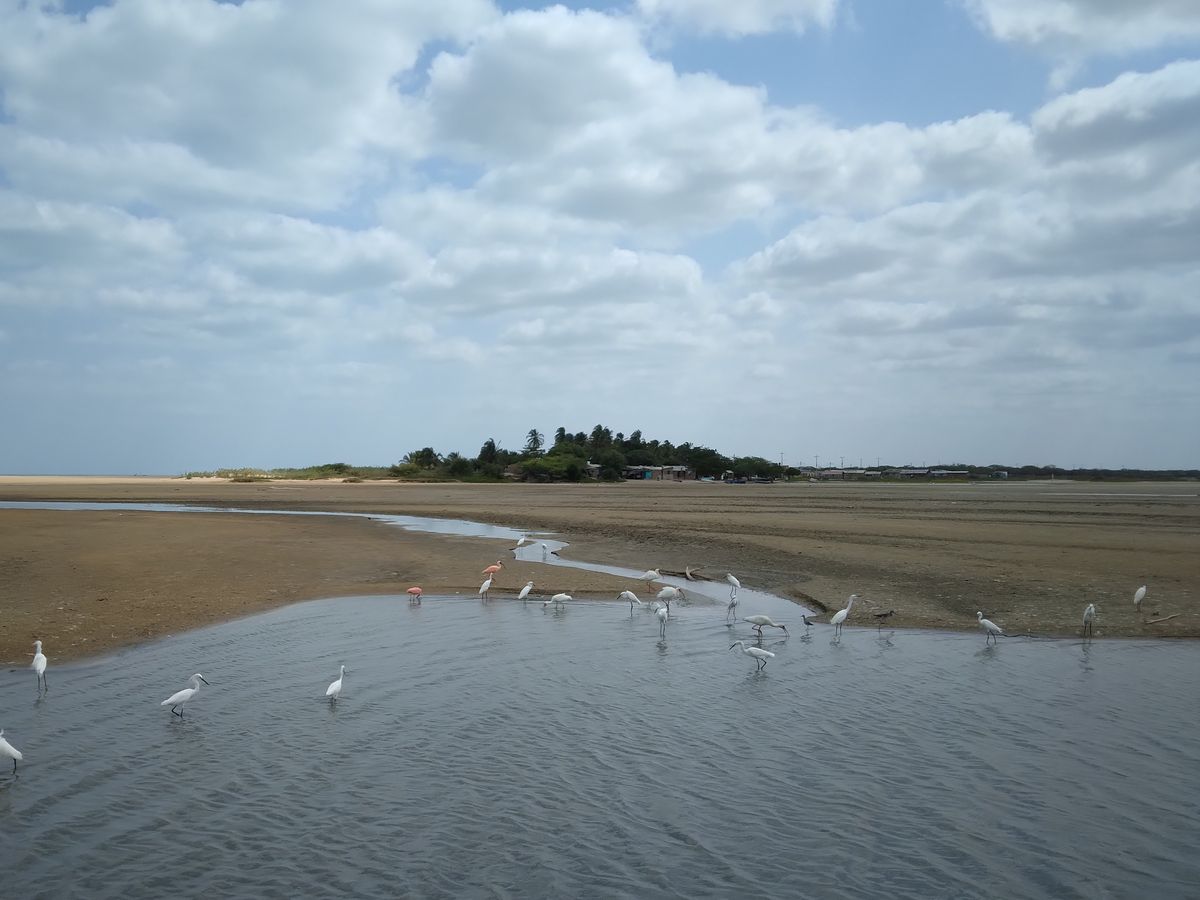 Strand a félsivatagos részen