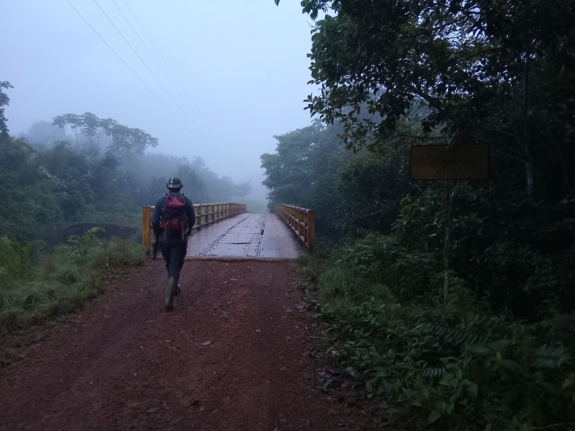 Hajnali esőerdei ködös hangulat híddal
