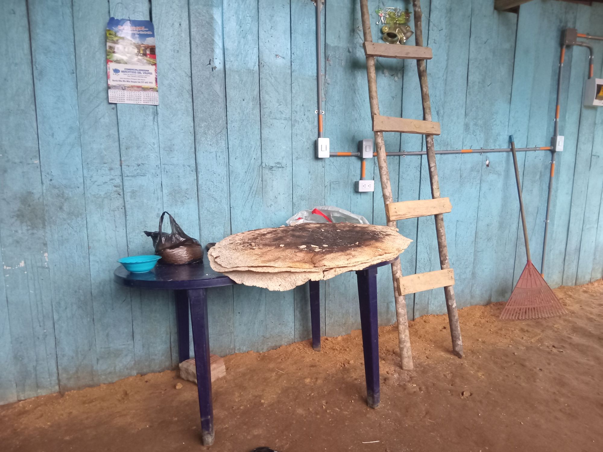 Pirított jukkalepény, az indián szeszesitalának, a chicha-nak az alapanyaga. Ettől durran be az erjedés