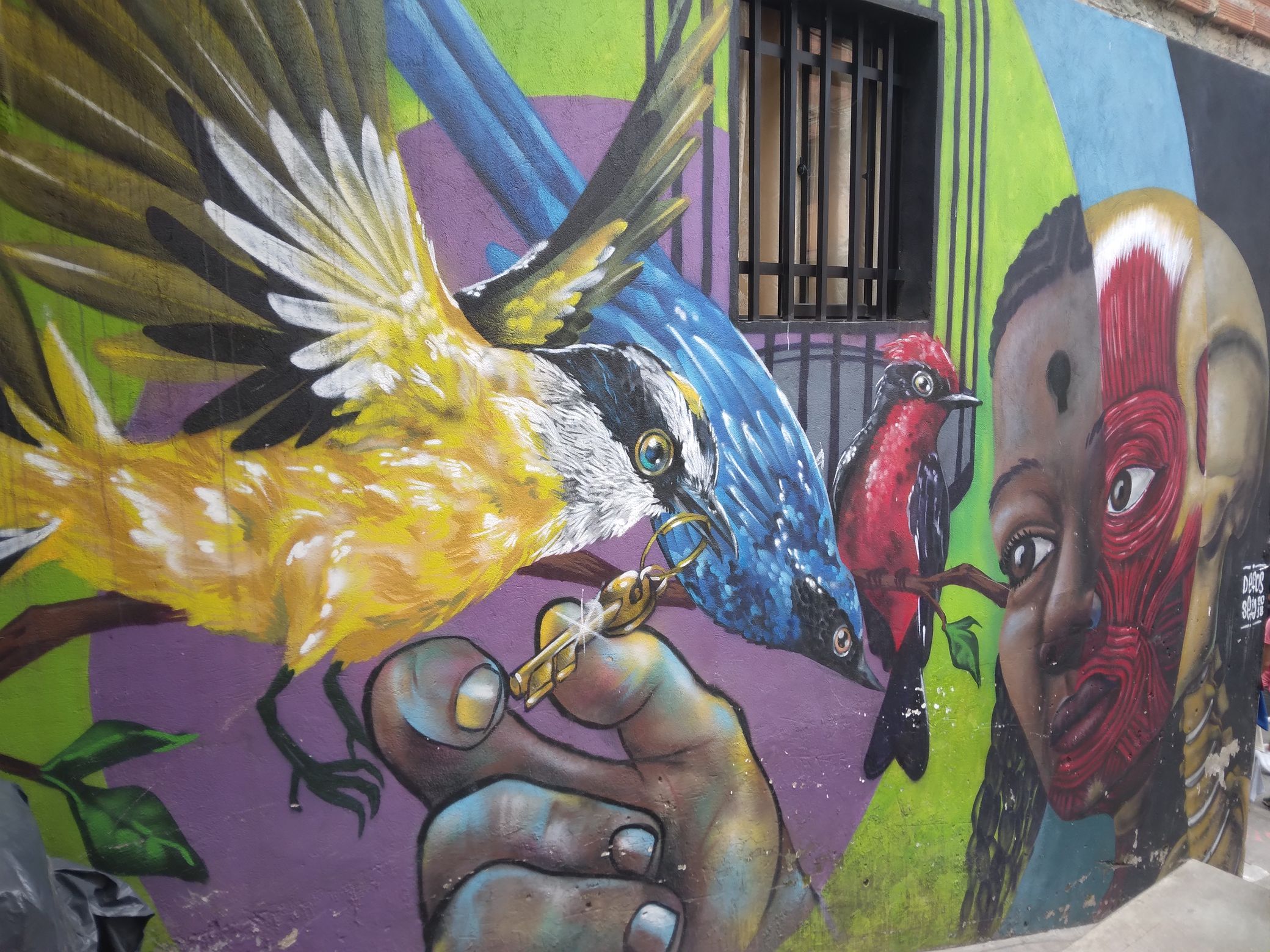 Madaras graffiti Comuna 13-ban (Golden-crowned Flycatcher (?), Masked Flowerpiecer, Vermilion Flycatcher)