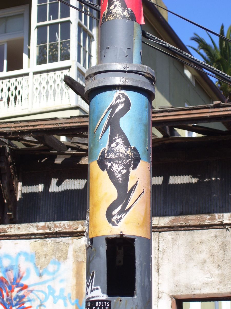 A Peruvian Pelican nem csak a falfestéknél népszerű