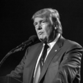 Dübörög a kampány és kezdődik Donald Trump tárgyalása