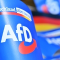 Betilthatják az AfD-t? – egyre erősebb a német párt támogatottsága