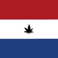 (Al)világi drogbirodalom lett Hollandiából