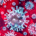 Ausztrália a koronavírus elleni közös küzdelemre hív