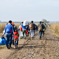 Egyre aggasztóbb az illegális migrációs helyzet Európában