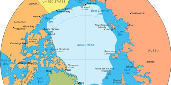 arktisz.jpg