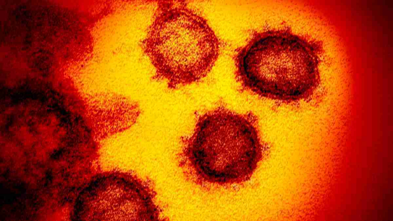 koronavirus1.jpg