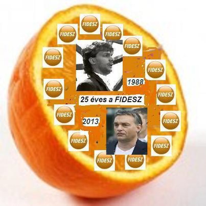 Fidesz 1.jpg