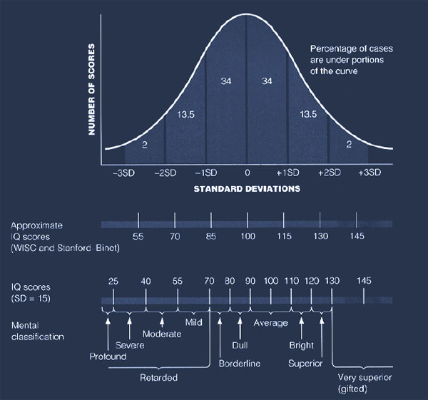 iq-teszt-2.jpg