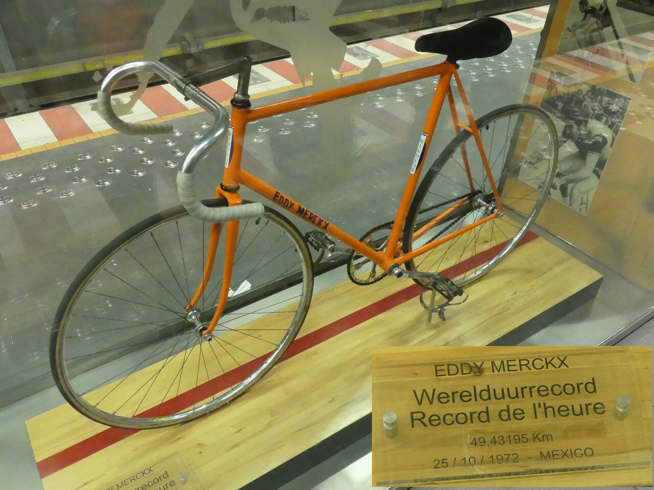 eddy_merckx.jpg