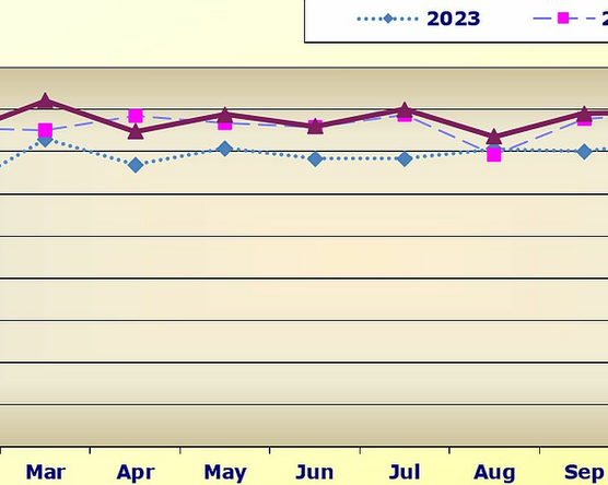 Idén is stabilan bővül a használtpiac