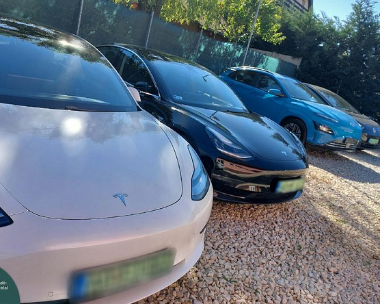 A NAV 144 milliós használtimport akciója: a nemzetközi adatbázisokban is kutatnak a revizorok