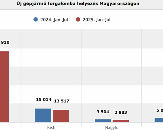 Ezek a 7 százalékkal bővült újautó piac vezető márkái
