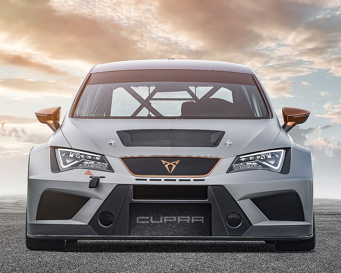 cupra2_v.jpg