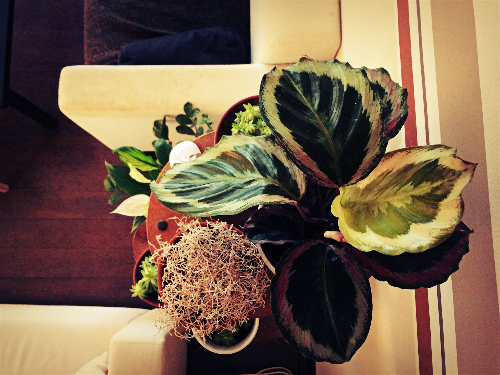 image_1430.jpeg