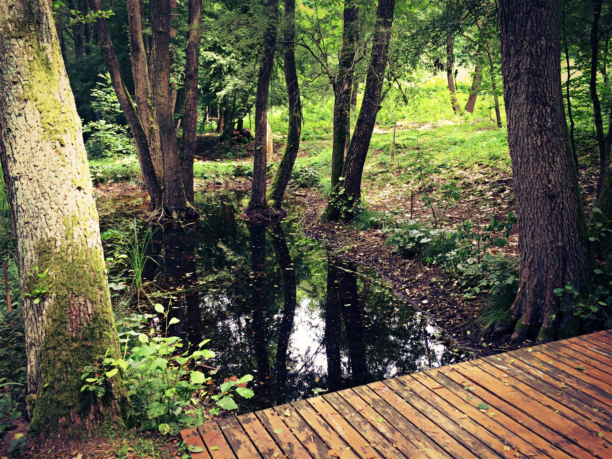 image_465.jpeg
