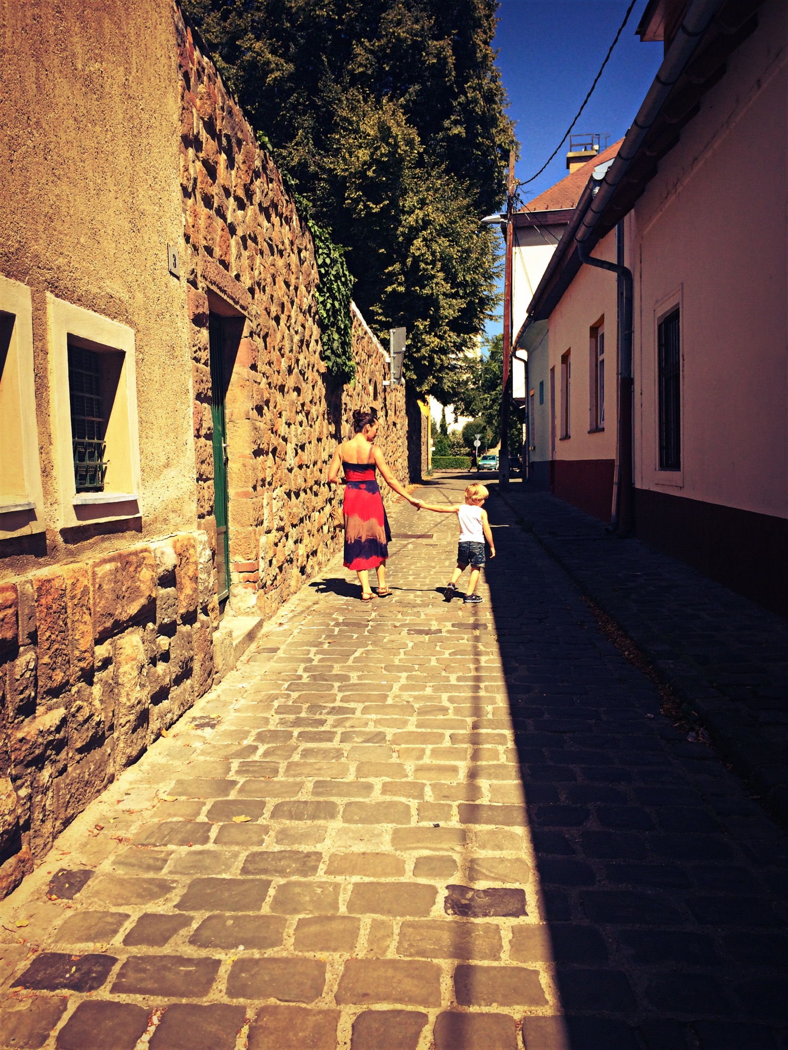 image_877.jpeg
