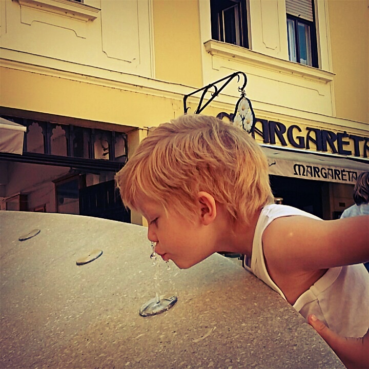 image_893.jpeg