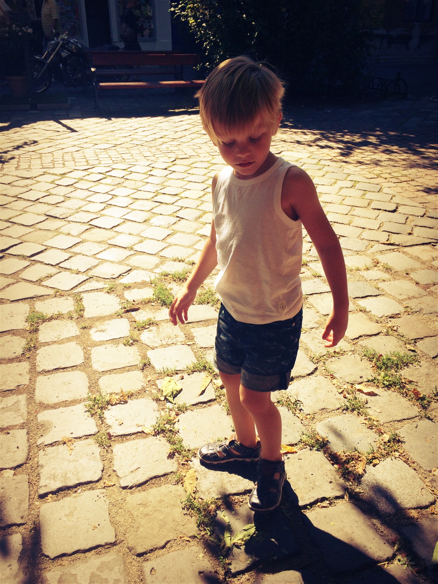 image_905.jpeg