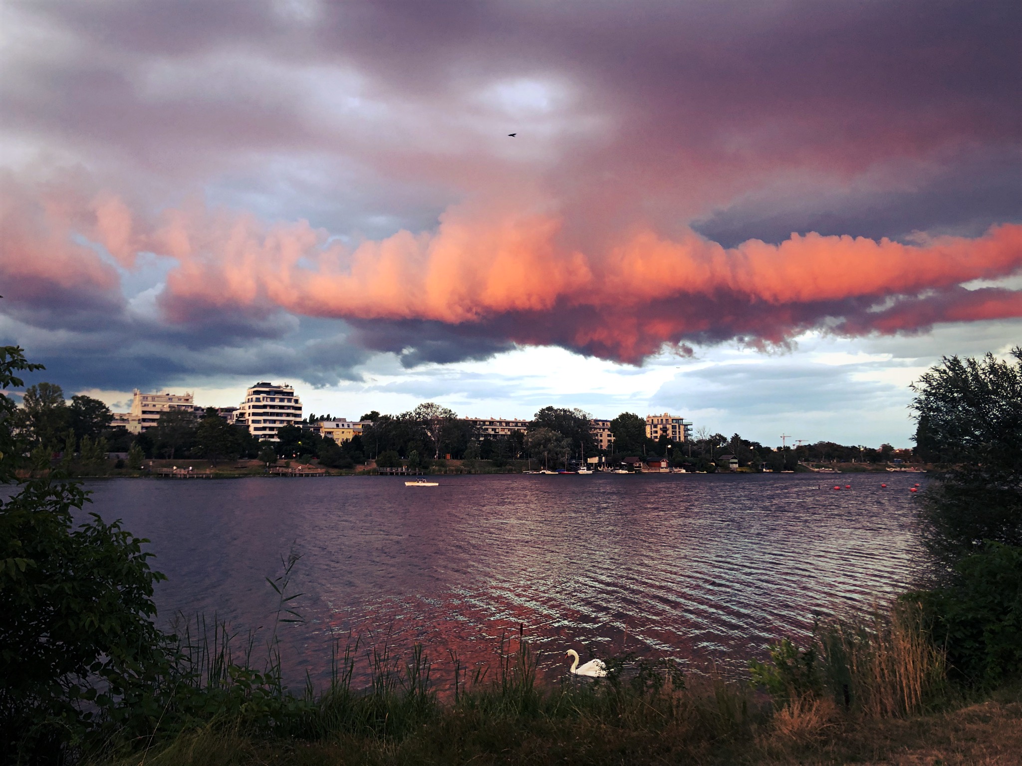 img_6229_1.JPG