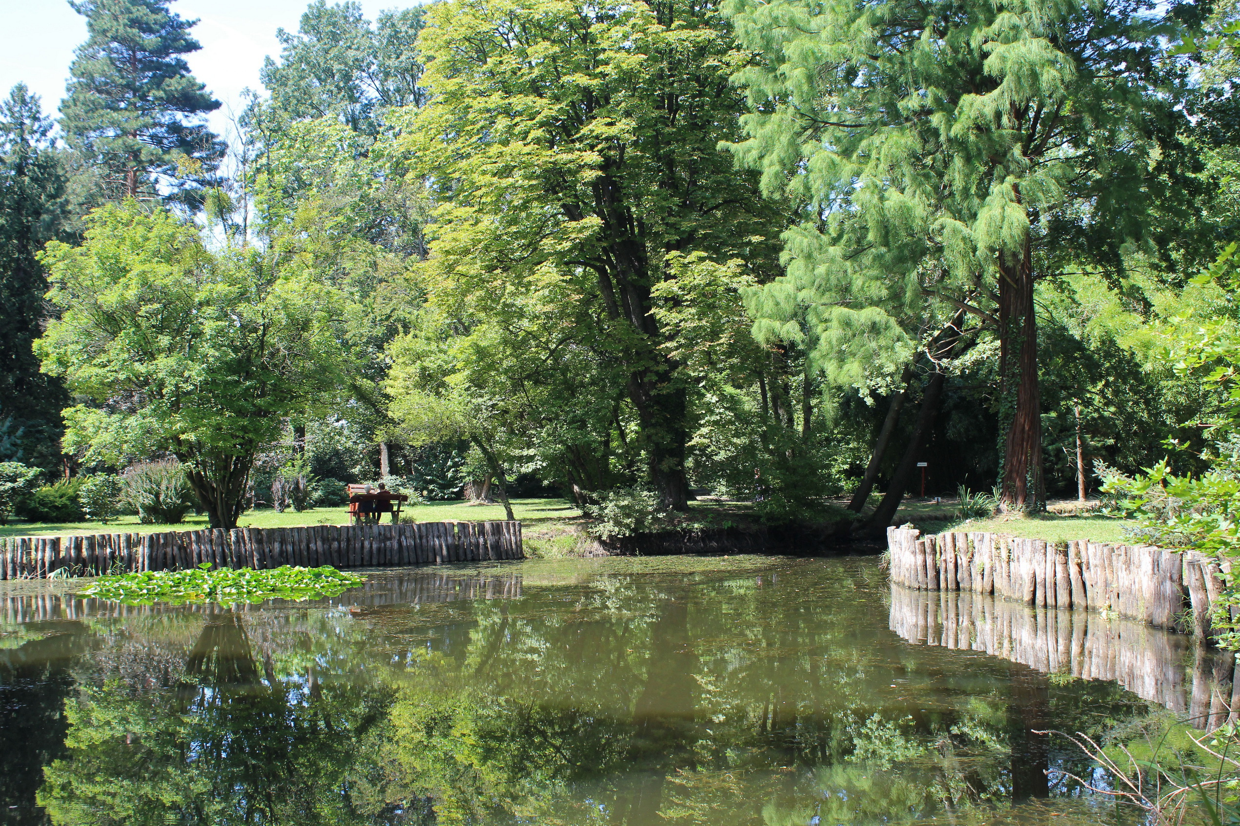 A Kámoni Arborétum Szombathelyen. (Fotó: Papp Géza, ddkektura.blog.hu)