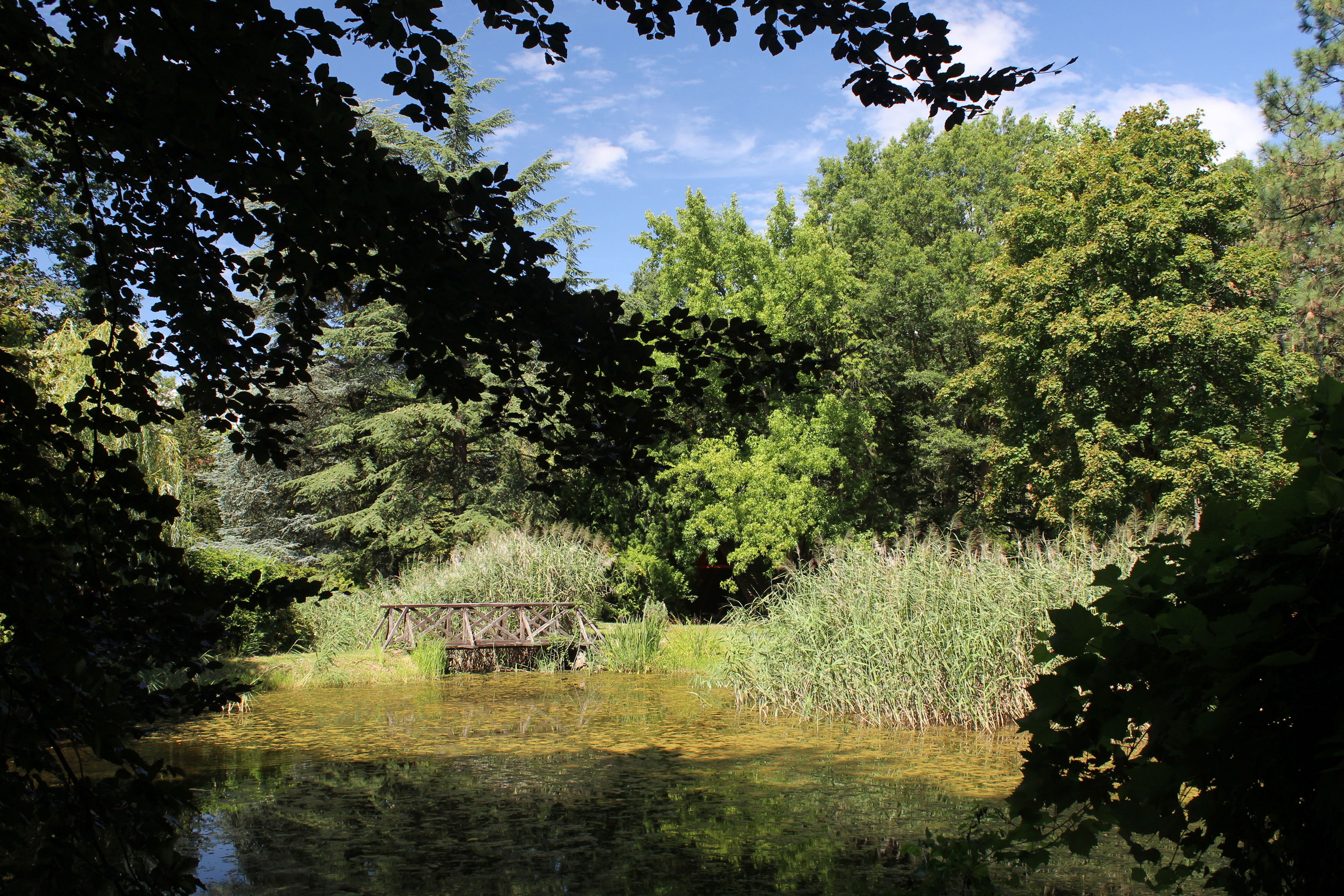 A Kámoni Arborétum Szombathelyen. (Fotó: Papp Géza, ddkektura.blog.hu)