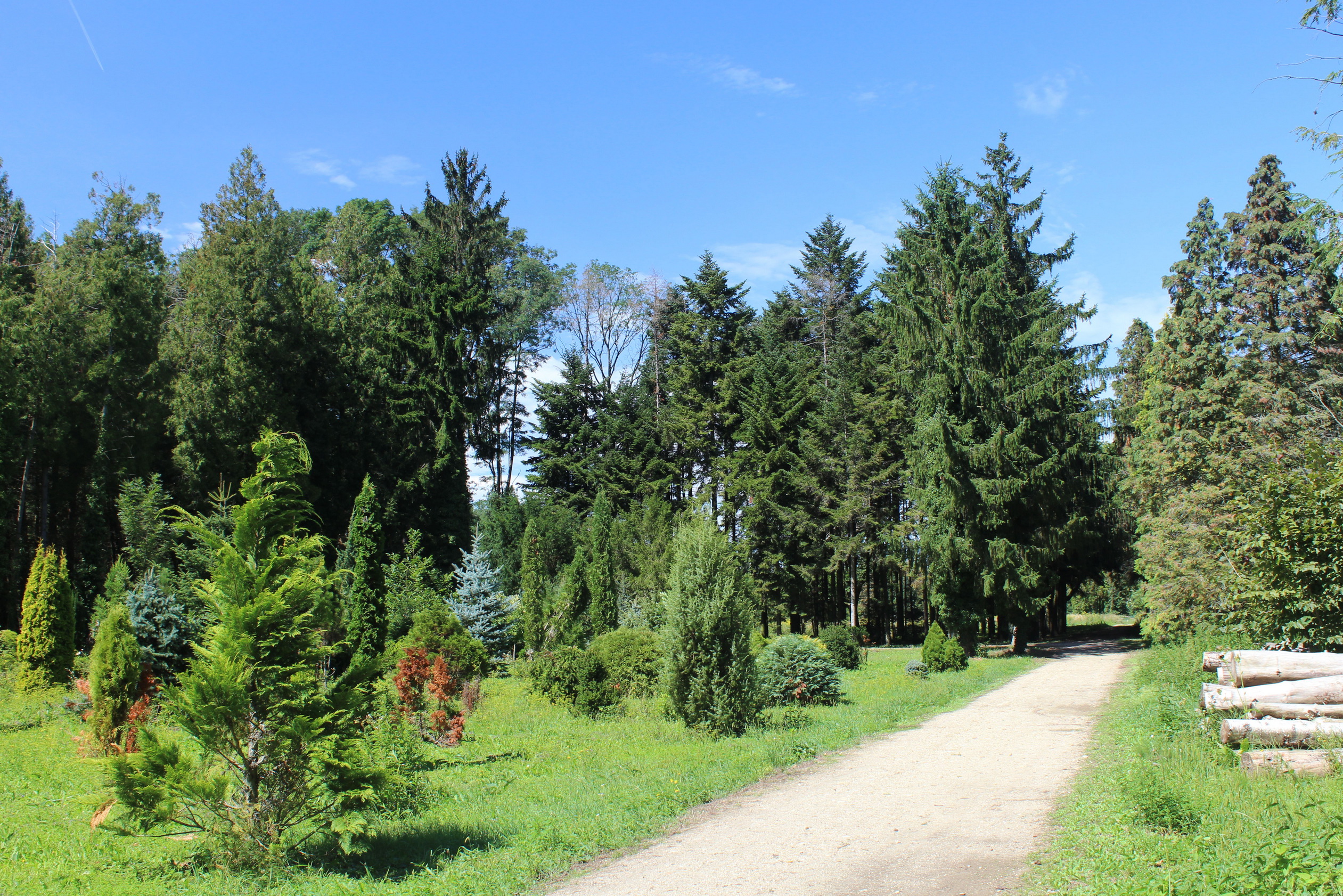 A Kámoni Arborétum Szombathelyen. (Fotó: Papp Géza, ddkektura.blog.hu)