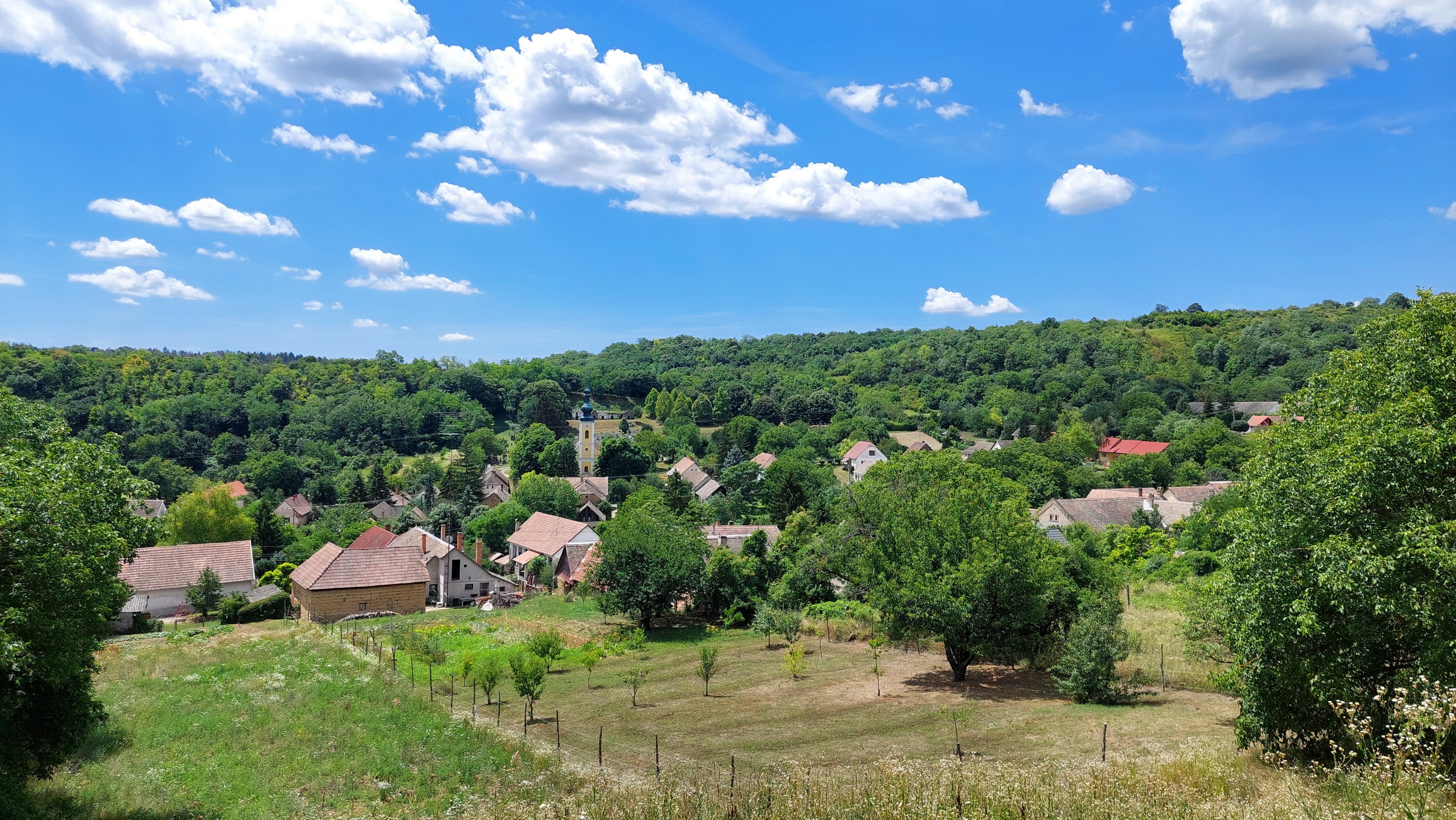 20240705-04-moragy.jpg