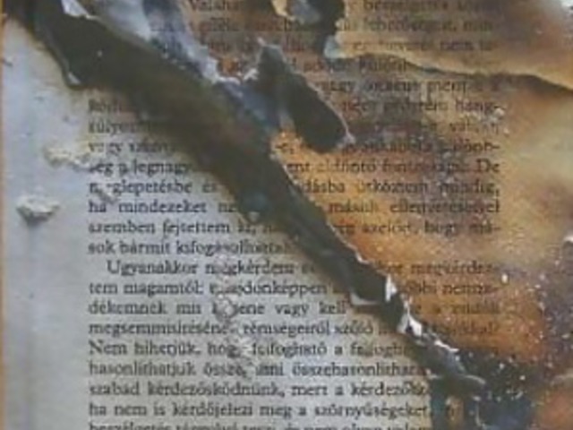 November: Németország