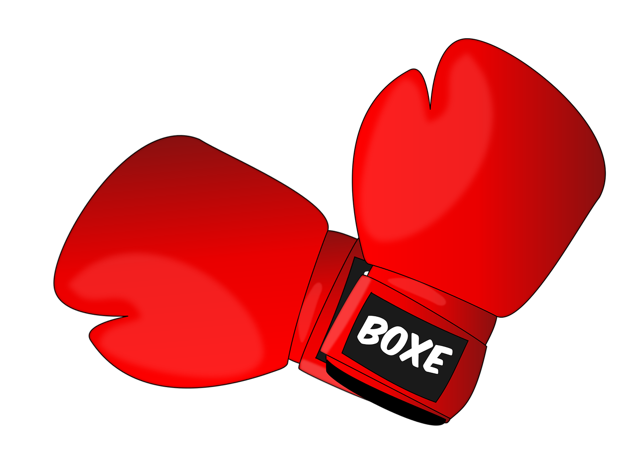 boxing-1293088_1280.png
