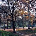 Őszi pillanatok Debrecenben