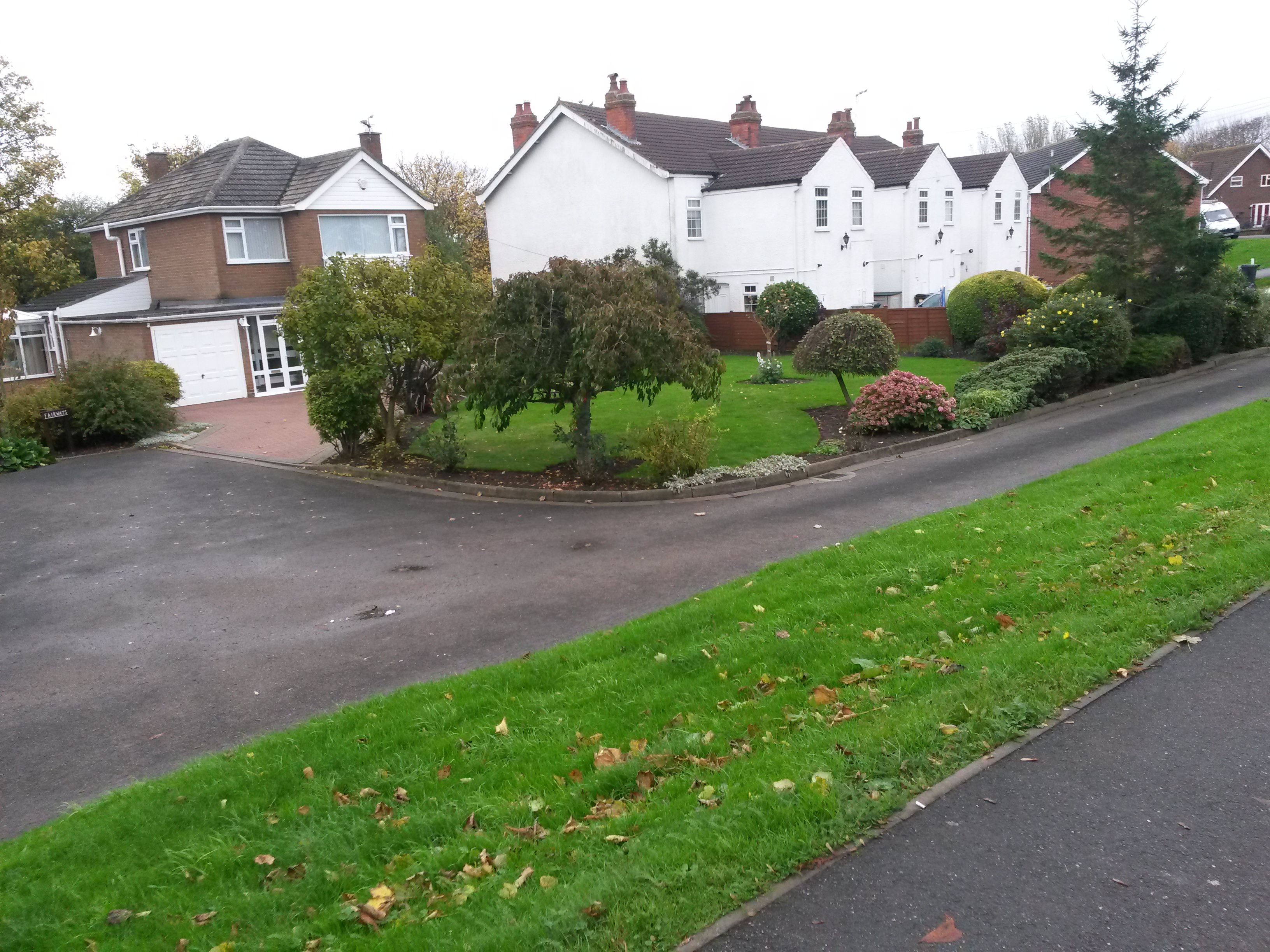 20151109_124424.jpg