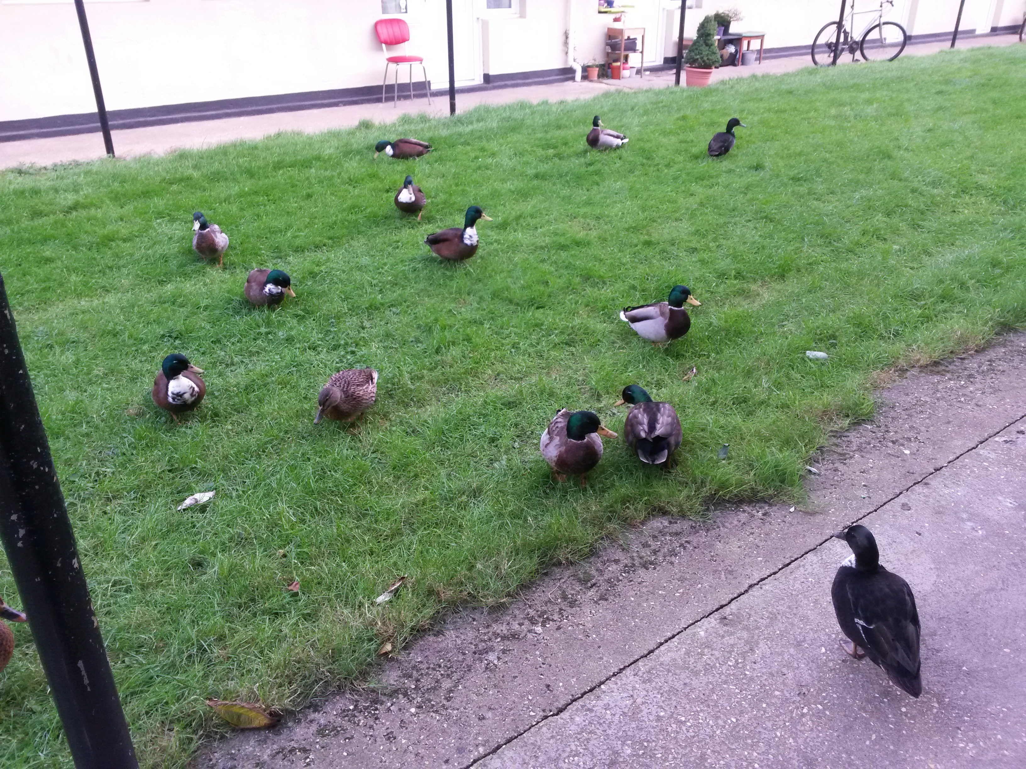 20151119_092106.jpg