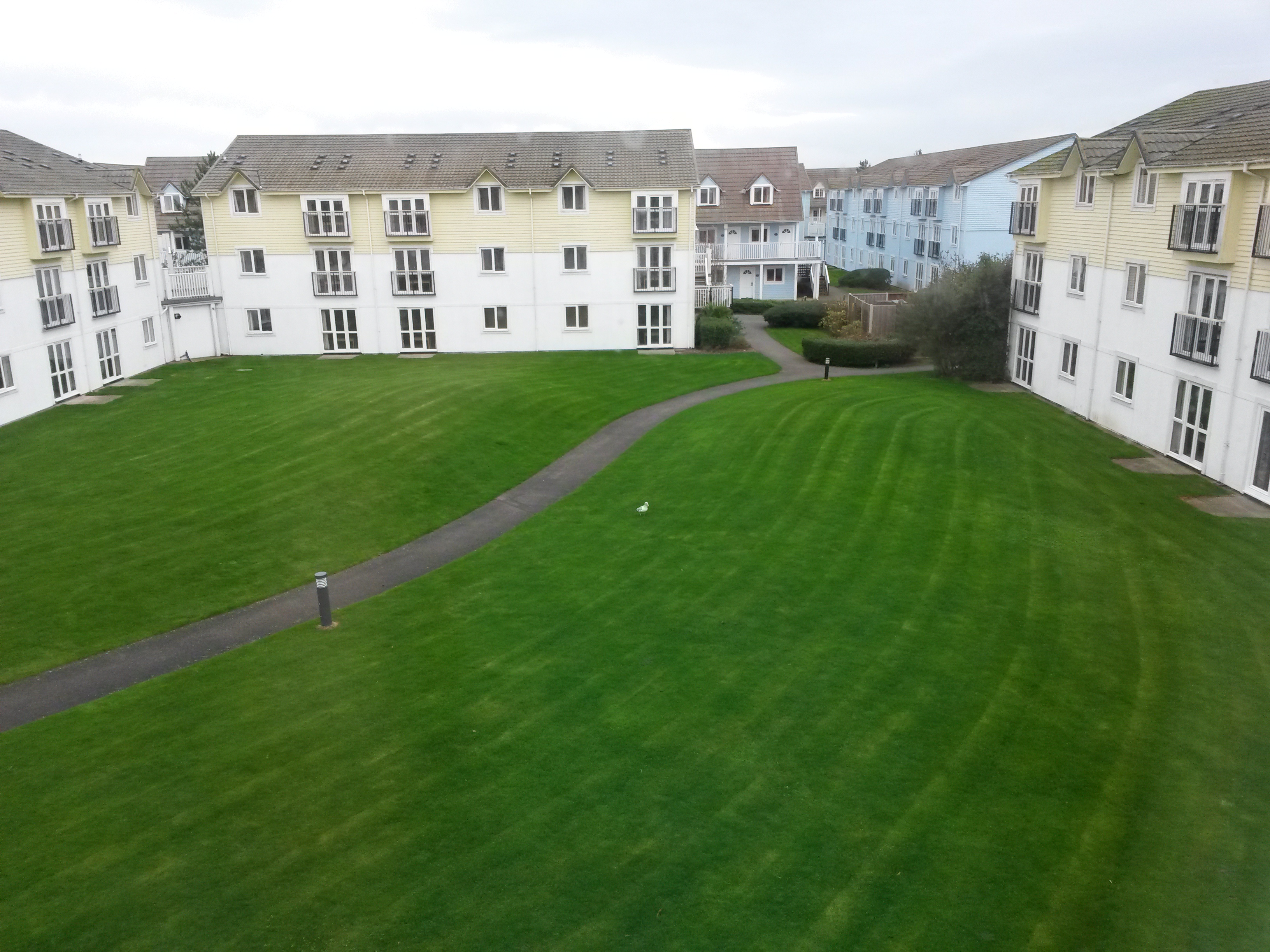 20151119_112604.jpg