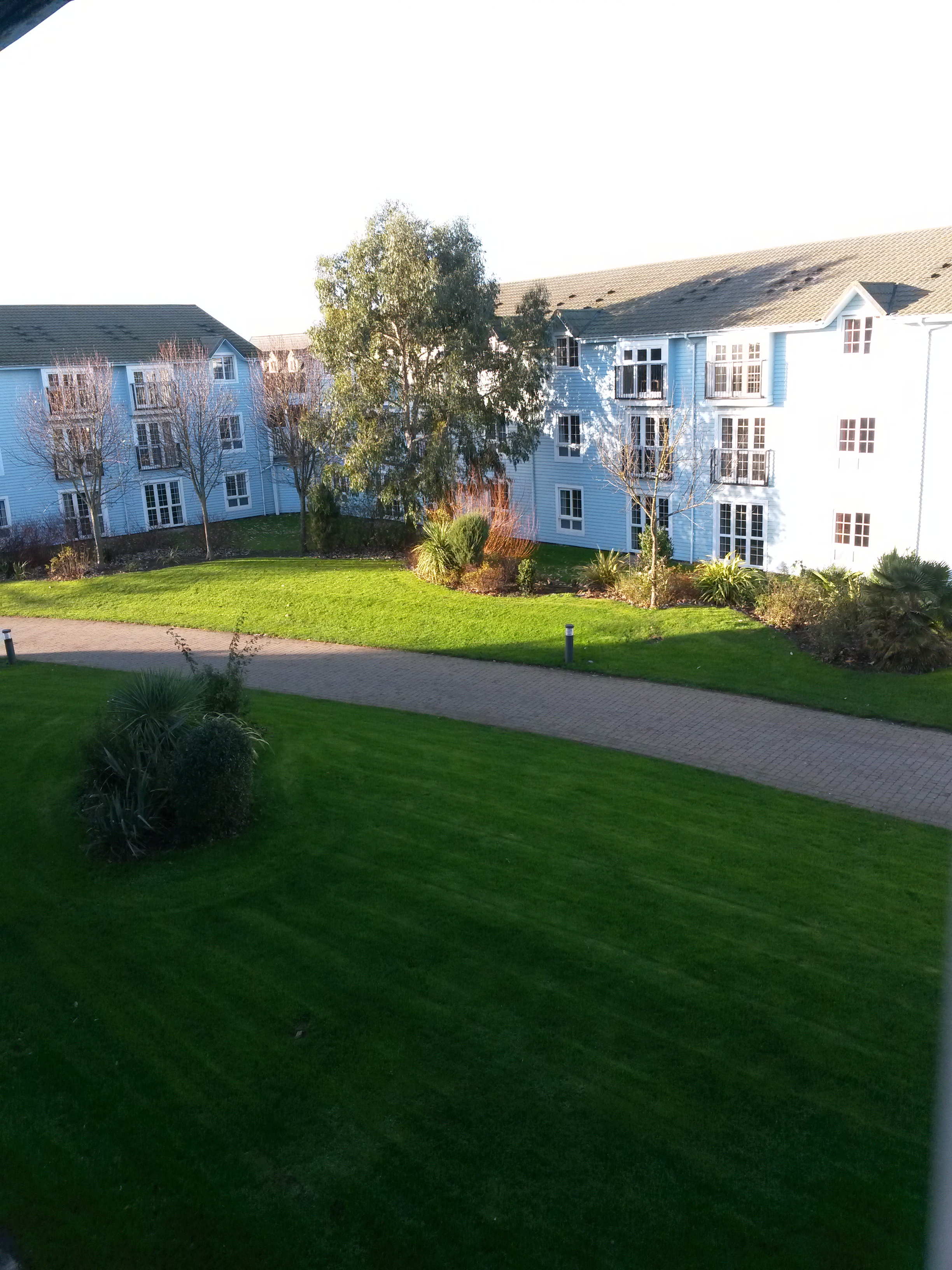 Nálunk, a Goldon minden courtyard (így nevezik az épület együtteseket) két L alakú épületből áll, az általuk közre zárt udvar zöldövezet, egy kis járdával. Ez a kilátás az egyik ablakból. 