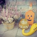 #helloosz #oszanyo #autumn #pumpkin 