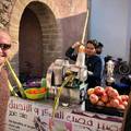 Essaouira - A befogadott kulturális sokk 22.