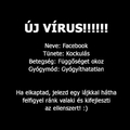 Facebook vírus