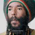 zenEbutik rovat: Congo Natty - Jungle Revolution (2013)