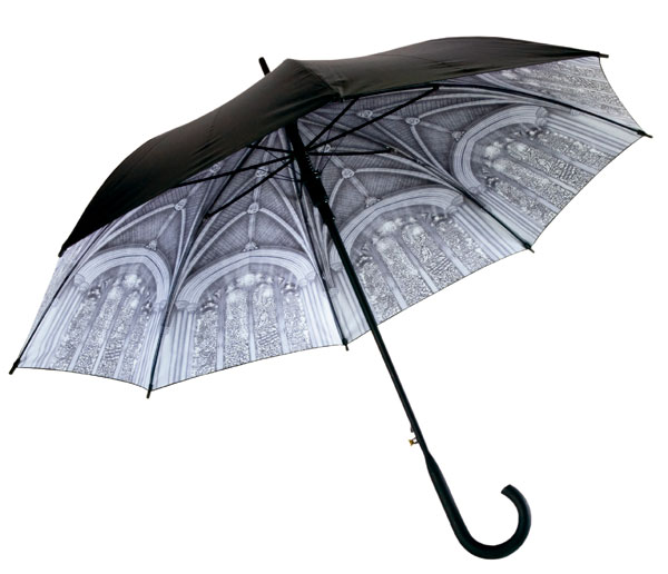 20500-WNC-auto-rain-umbrella-600.jpeg