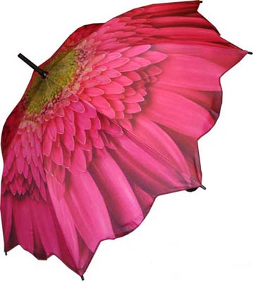 pink-dahlia-umbrella_040908.jpg