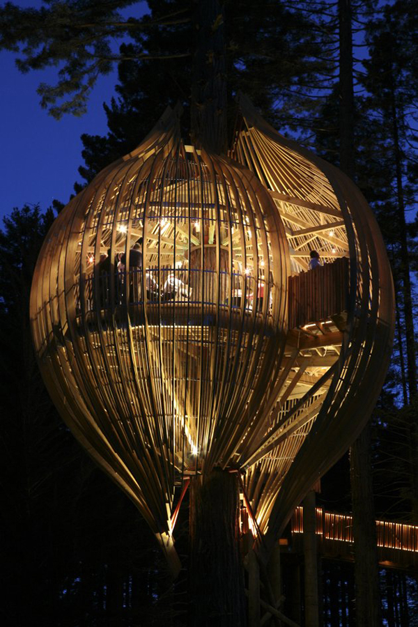 treehouse_221208_09.jpg